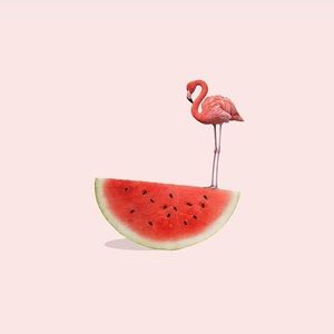 Meet your Posher, Sharee